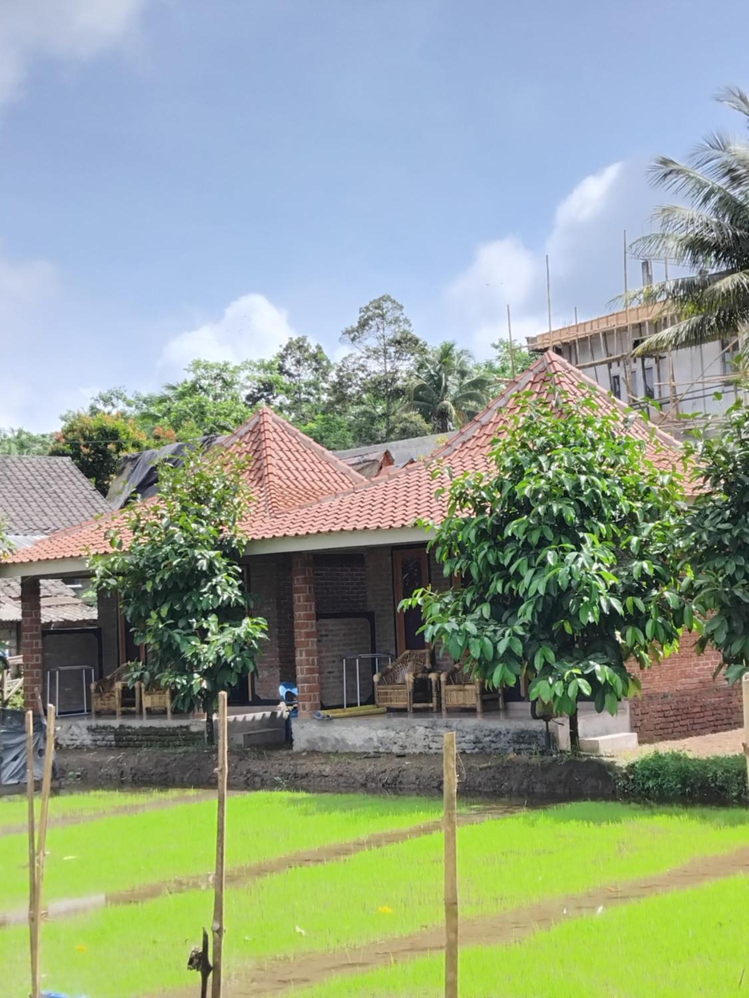 Tereng Wilis Bungalows Tetebatu Cameră foto